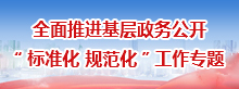 基层试点专题
