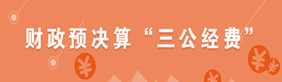 财政预决算“三公经费”