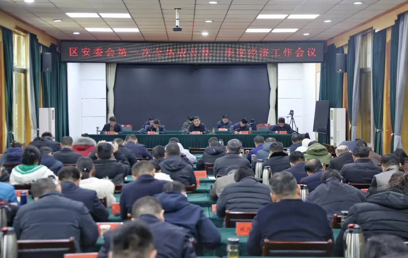 区安委会第一次全体成员暨一季度经济工作会议召开